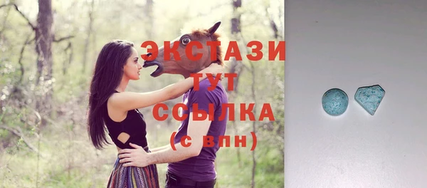 тгк Пересвет