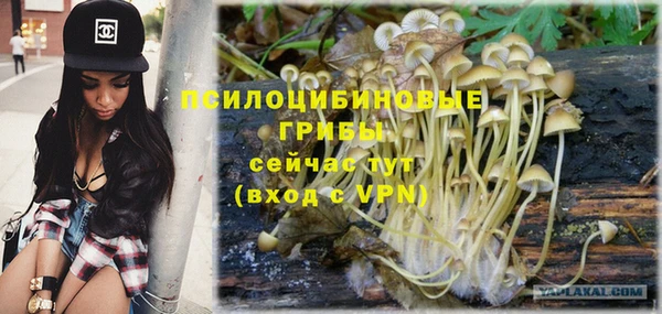 тгк Пересвет