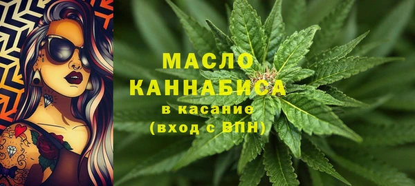 тгк Пересвет