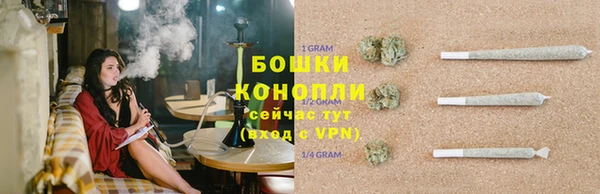 тгк Пересвет